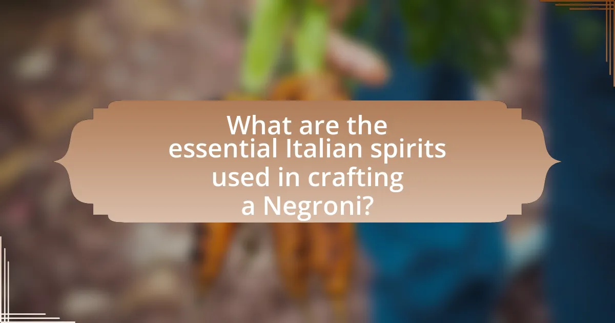 What are the essential Italian spirits used in crafting a Negroni?