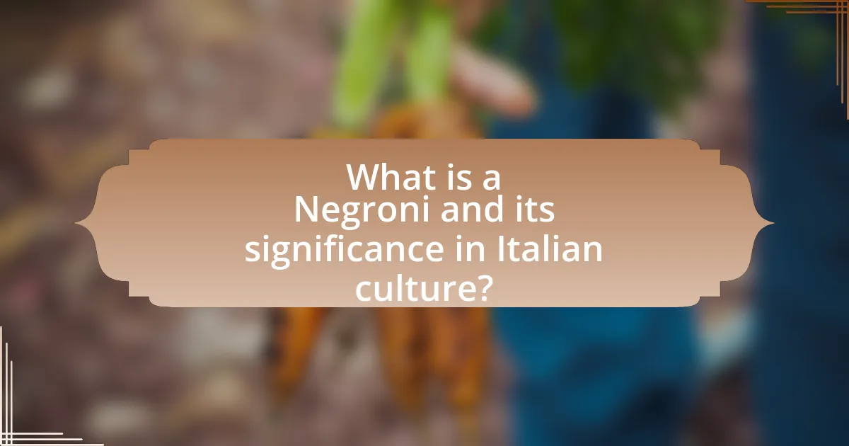 What is a Negroni and its significance in Italian culture?